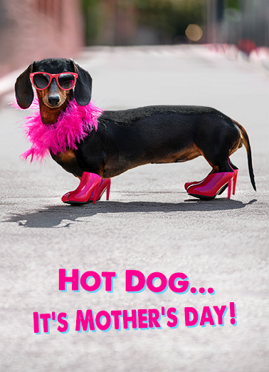 Wienerful Hot Dog Mother's Day Ecard Cover