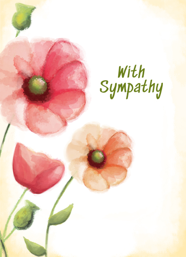 With Sympathy Illustration Card Cover