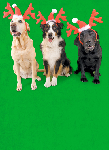 Woof Christmas Wishes Card Cover