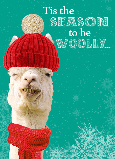 Woolly XMAS Funny Animals Card Cover