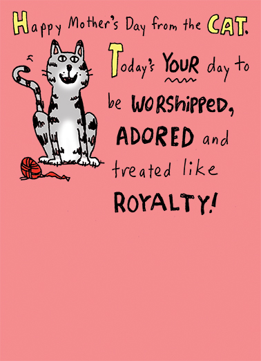 Worshiped Adored From the Cat Ecard Cover