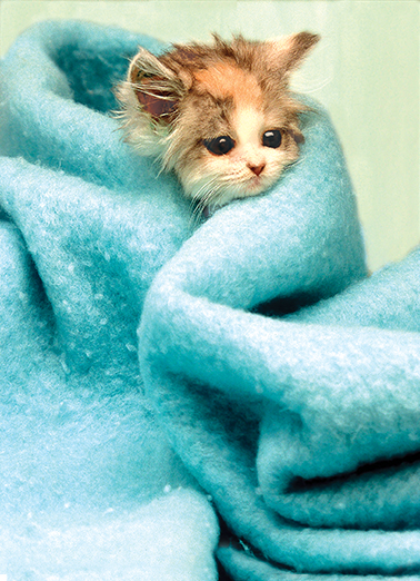 Wrapped Up Hug Ecard Cover
