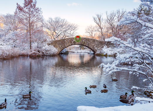 Wreath Bridge Christmas Ecard Cover