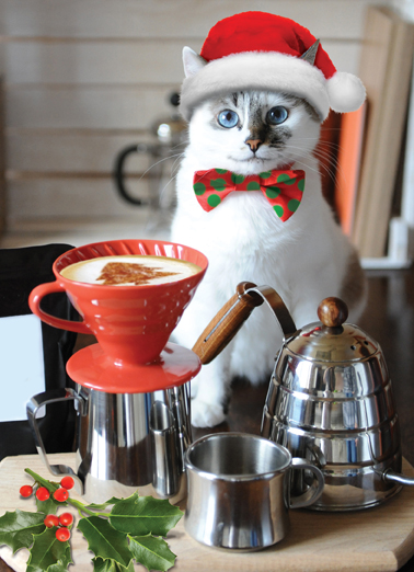 Xmas Catpuccino Happy Holidays Ecard Cover