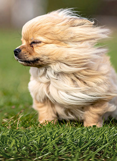 Year Blew By Birthday Card Cover