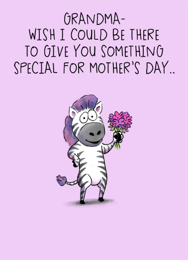 Zebra Grandma 5x7 greeting Ecard Cover