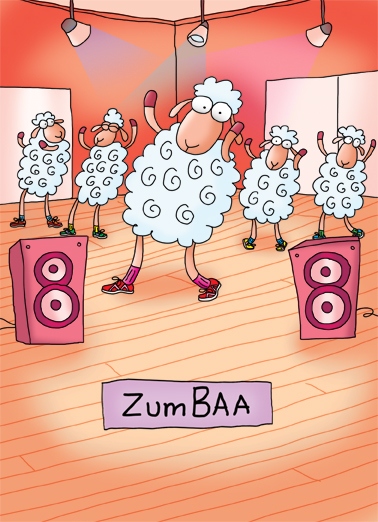 Zumbaa Funny Animals Ecard Cover