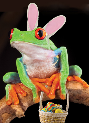 easter ribbit Funny Ecard Cover