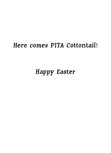 pita cottentail 5x7 greeting Card Inside